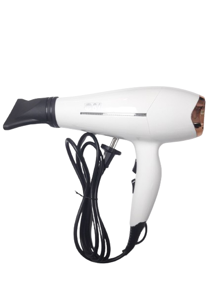 EIGHTY ONE HAIR DRYER