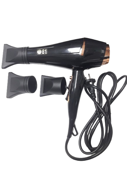 EIGHTY ONE HAIR DRYER