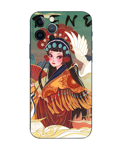 Phone Sticker Full Body (N028)